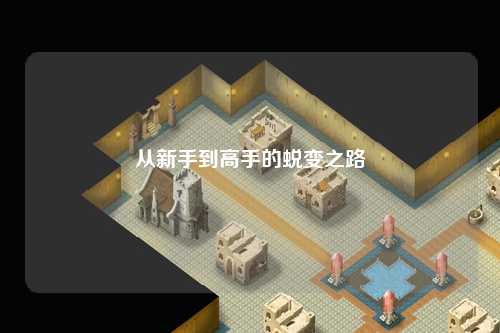 從新手到高手的蛻變之路