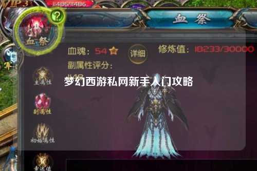 夢幻西游私網新手入門攻略