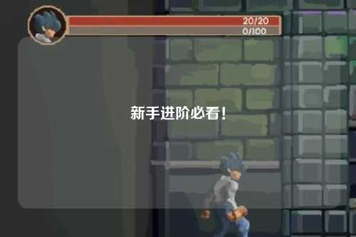 新手進階必看！