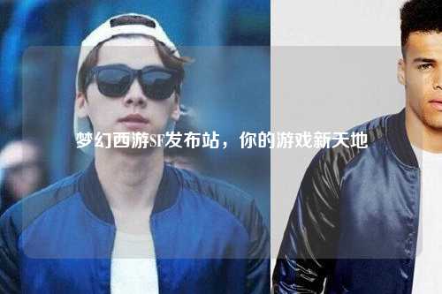 夢幻西游SF發布站，你的游戲新天地