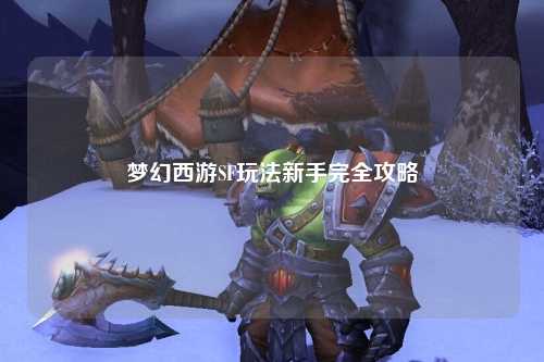 夢幻西游SF玩法新手完全攻略