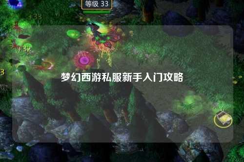 夢(mèng)幻西游私服新手入門(mén)攻略
