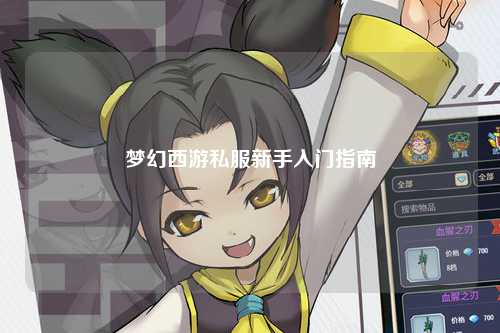 夢幻西游私服新手入門指南