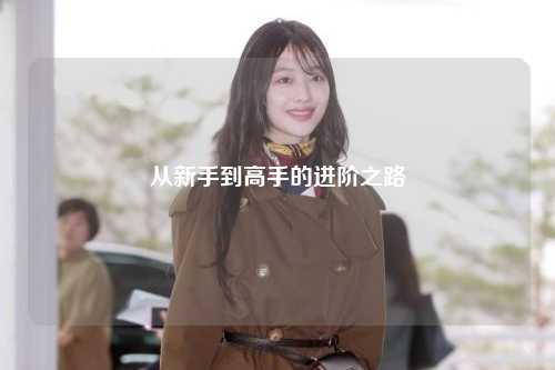 從新手到高手的進(jìn)階之路