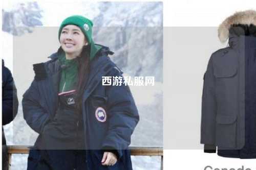 西游私服網(wǎng)