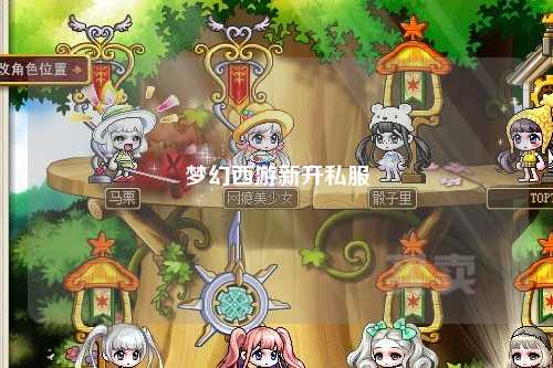 夢幻西游新開私服